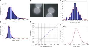 Maybe you would like to learn more about one of these? Cell Growth And Size Homeostasis In Proliferating Animal Cells Science