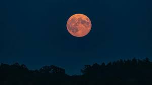 Penumbra adalah bayangan kabur yang terjadi pada saat gerhana atau terjadinya bayangan pada benda gelap (tidak tembus pandang) bulan. Gerhana Bulan Penumbra Dan Strawberry Full Moon Bisa Dilihat Di Ri Nanti Malam Teknologi Id