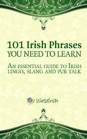 101 Phrases You Need To Know An Essential Guide To Irish Lingo Slang And Pub Talk Amazon Kindle Store Irish Phrases Irish Ireland Travel