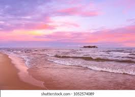 You'll find organic shapes in a darker hue, together with lines and dots in white. Pink Sunset On Lake Beach Sea Stock Photo Edit Now 1052574089