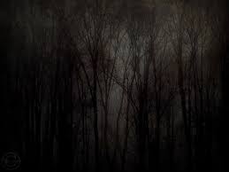 Black And White Woods Picture Dark Forest Mysterious Tree Print 12 X 16 Fog Photography Tree Wall Art Dead Of The Night Surreal Deep Dark Woods Black Tree Tree Wall Art Spooky Trees