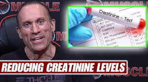 High levels of creatinine and bun (blood urea nitrogen) in dogs is usually a sign of poor health. Lowering Creatinine Bun Levels Youtube