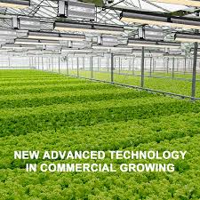 Where more room is available, t5 grow lights are typically used when imploring fluorescent grow lights. Sp 6500 Marshydrode