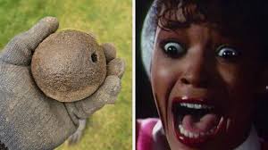 Dover to bill Ear Craft building owner Al Fleury for 3-million gallon water  leak