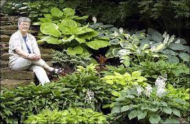 Food & ag products center; Https Www2 Ljworld Com News 2002 Jul 14 Hosta Heaven