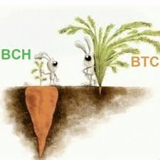But stellar and ripple still don't own a bank or significant shares in one. Remember This Article When Bitcoin Cash Bch Hits 10 000 Bitcoincash