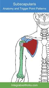 Pin On Health And Exercise