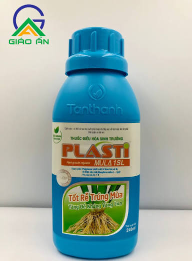 Plastimula 1SL