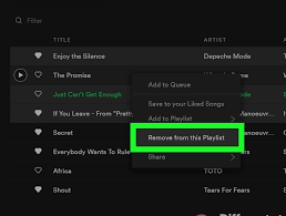 How To Delete Songs From Spotify 12 Steps With Pictures