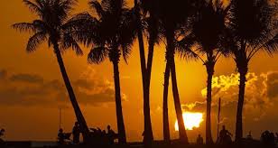 الصفحة غير متاحه Celestial Outdoor Sunset