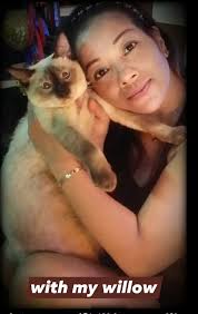 Just a idea what about badges to get more attention with willows photo lost  etc , as chatting to more people like shops ,parks .