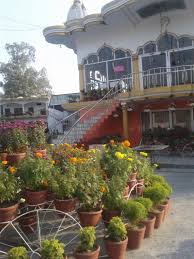 Pin By Atul Verma On Cricket In 2020 With Images Plants Garden