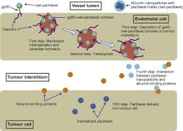 Check spelling or type a new query. Nab Paclitaxel For The Treatment Of Triple Negative Breast Cancer Rationale Clinical Data And Future Perspectives Cancer Treatment Reviews