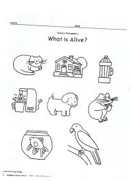 Pin By Katherine Lynn On Teaching My Student Teaching Kindergarten Worksheets Preschool Worksheets Kindergarten Worksheets Printable