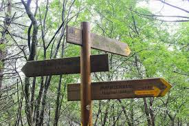 Check spelling or type a new query. Desde Donde Comenzar El Camino De Santiago Woman To Santiago