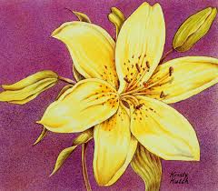 How To Use Water Soluble Colored Pencils Ready for more art inspiration? how to use water soluble colored pencils