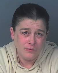 HCSO Arrests Public Records Results