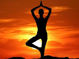Maharishi patanjali is the 'father of yoga' who compiled 195 yoga sutras that became the foundation of yoga philosophy. International Yoga Day 2020 Video Contest Yoga At Home Yoga With Family Theme Campaign Launched Get Details