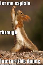 A Guy In My Class Once Asked Me Do You Think The Prof Will Accept An Interpretative Dance In Lew Of This Qui Funny Animal Pictures Funny Animals Animal Memes