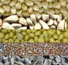 Selain itu, penting juga kamu memperhatikan asupan kalsium dan mineral untuk. Makanan Burung Merpati Atau Dara Peternak Super Marga Tiga Makanan Burung Makanan Burung