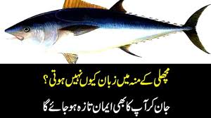 Why Don T You Have Tongue In Fish Mouth In Islam Fish Mouth Islam