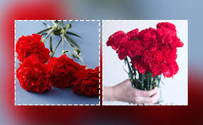 Maybe you would like to learn more about one of these? Wish Them Well With These Get Well Soon Flowers
