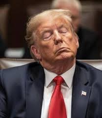 Trump and Biden's work ethic and vacation days comparison