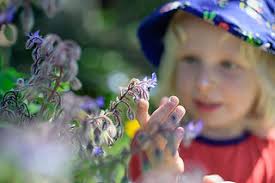 Helen Paul Kindergarten