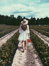 Strawberry Picking Outfits Photoshoot Strawberry Picking Photography Strawberry Picking Outfit Strawberry Picking Pictures