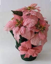 Pink Poinsettia Silk Flower Accent Plant J C Penney Vintage 1990s Jcpenney Vintage Christmas Silk Flowers Pink Champagne