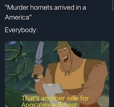 A giant hornet nest is discovered under a chair in an abandoned house. 21 Murder Hornet Memes To Sting Your Funny Bone Funny Gallery