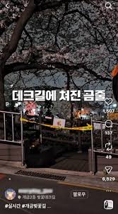 뷰티인더비스트