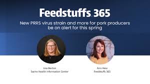 New PRRS virus strain and more for pork producers be