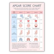 Image result for APGAR Score
