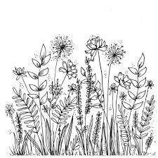 Botanical Line Doodle Botanical Line Drawing Line Art Drawings Flower Drawing