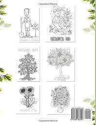 This site includes coloring pages, a word find, a star code, and a story about tu b'shvat . Tu B Shevat Coloring Book For Kids Color Trees Plants Flowers Celebrate The Tu B Shvat Jewish Festival Mintz Rachel Amazon Ca Books