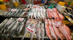 The sale will happen in their warehouse at jurong fishery port. W8q1lmedzjzkqm