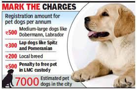 Get a boxer, husky, german shepherd, pug, and more on kijiji, canada's #1 local classifieds. Lucknow Get Your Dog Registered Now To Avoid Detention Lucknow News Times Of India