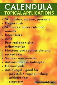 7 amazing health benefits of calendula 1. Uses And Benefits Of Calendula Gardensall Medicinal Plants Benefits Of Calendula Calendula Benefits Calendula