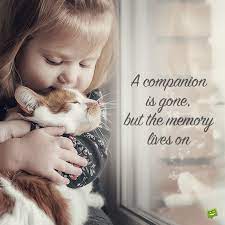 This would be best for a gift to someone who has lost a pet since it comes with a card to give to. 34 Sympathy Messages For The Loss Of A Dear Pet