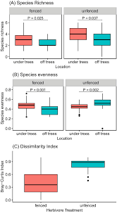 Image result for Rhynchosia holstii