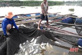 Fafc today is a automated news aggregator with google cse based search engine script that searches different portions of the web via google custom search engine. Ha TÄ©nh Cage Fish Farmers Restore Production Society Vietnam News Politics Business Economy Society Life Sports Vietnam News