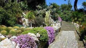 En/au jardin botanique hanbury, la distanciation sociale à respecter est de 1 mètre. Le Jardin Botanique Hanbury A Ventimiglia Sur La Riviera Italienne