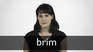 Brim Definition And Meaning Collins English Dictionary