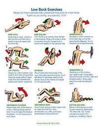 Pin On Back Exercises