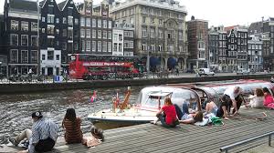 Амстердам в апреле — цветение тюльпанов и день короля. Tyulpan Ili Propal V Amsterdame Est Ne Tolko Cvety I Prostitutki Stati Izvestiya