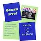 Ocean Jive – Callington event image