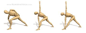 The Daily Bandha Anatomic Sequencing Revolved Half Moon Pose Downward Dog Pose Anatomy Images Yoga Asanas