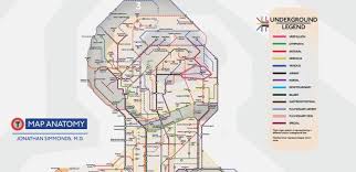 See more ideas about anatomy, art, cartography. A Detailed Human Anatomy Subway Map Illustrated In The Distinctive Style Of The London Underground