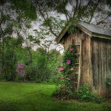 Ladder Trellis Cabane Jardin Idees Jardin